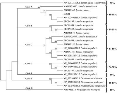 Ixodes scapularis nymph saliva protein blocks host inflammation and complement-mediated killing of Lyme disease agent, Borrelia burgdorferi